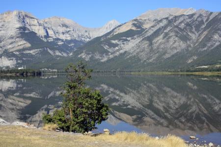 洛基山, 加拿大, 景观, 艾伯塔省, 山脉, 岩石, 加拿大