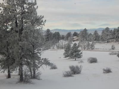 景观, 冬天, 雪, 感冒, 白色, 自然, 树