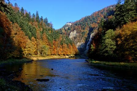 pieniny, dunajec, 秋天的落叶, 颜色, 视图, 自然, 河
