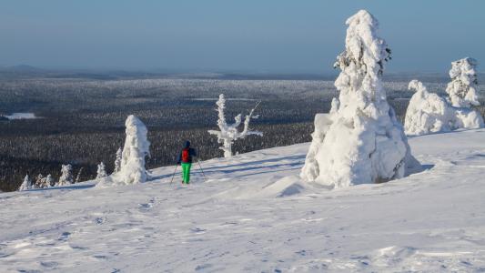 雪地鞋雪鞋跑, 芬兰, 拉普兰, 寒冷, 冬天的心情, 感冒, äkäslompolo