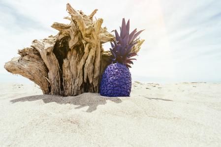 海滩, 水果, 岛屿, 户外, 菠萝, 紫色, 沙子