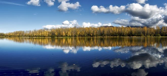 景观, 风景名胜, 切尼湖, 锚固, 阿拉斯加, 美国, 秋天