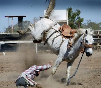 牛仔竞技表演, 马, 白马, 行动射击, 牛仔, 牛仔背景, 骑马