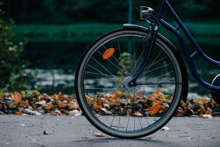 自行车, 自行车, 骑自行车的人, 颜色, 周期, 骑自行车的人, 秋天