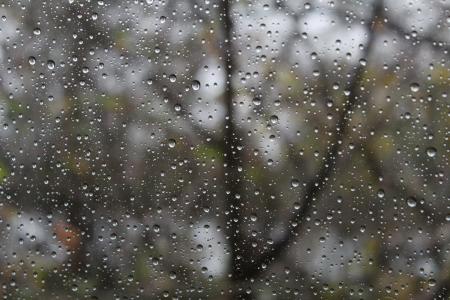 下雨天, 雨滴, 滴灌, 湿法, 悲伤, 安静, 户外