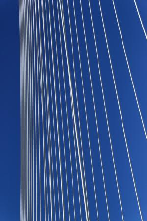 伊拉兹马斯桥, 鹿特丹, 天鹅, 斜拉桥, 建筑, 蓝色, 钢