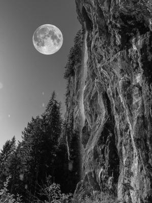 满月, 晚上, 岩石, 森林, 高山, 黑暗, 晚上张照片