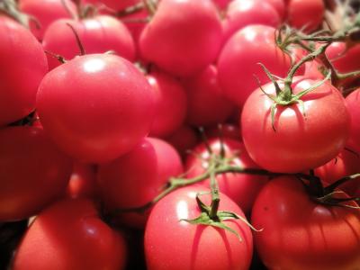 西红柿, 食品, 公平, 农业, 新鲜, 市场, 健康