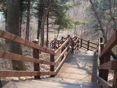 公园, 楼梯, 木材, 步行