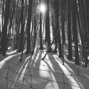 冬天, 雪, 黑色和白色, 自然, 户外, 景观, 徒步旅行