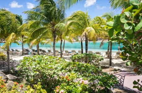 度假村, 加勒比海, 库拉索岛, 旅行, 海滩, 水, 海洋