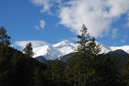 保加利亚, pirin 山脉, 春天, 自然, 树木, 雪