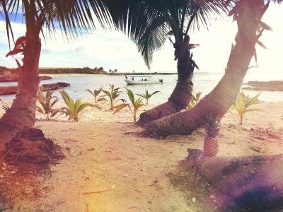 海滩, 小船, 椰子树, 异国情调, 水果, 岛屿, 休闲