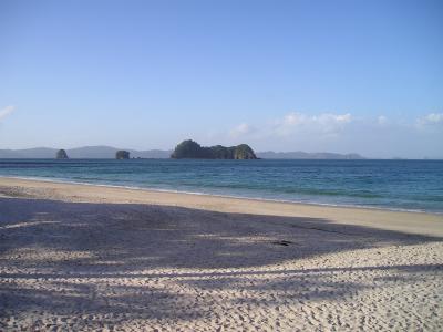 美丽的海滩, 新西兰, 海滩, 海岸, 南岛