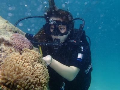 氧气缸, 东南亚地区, 马来西亚, 海洋, 跳水, 海, 珊瑚