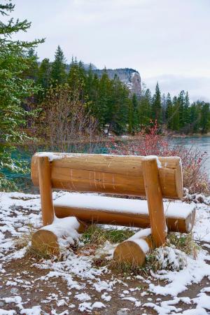 座位, 雪, 木制, 户外, 冬天, 板凳, 公园