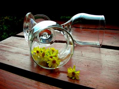 酒杯, 洋甘菊, 黄色的花, 木桌