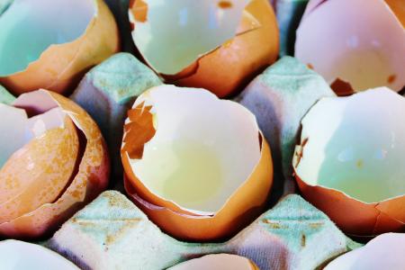 鸡蛋, 蛋壳, 鸡蛋板, 母鸡的蛋, 棕色, 壳, 石灰