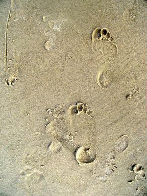 脚印, 足迹, 海滩, 痕迹, 水, 海, 沙子