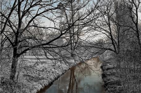 河, 冬天, 弗罗斯特, 树木, 自然, 雪, 景观