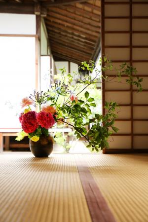 日本文化, 佛教寺庙, 插花, 稿纸-一, 木材-材料, 窗口, 室内