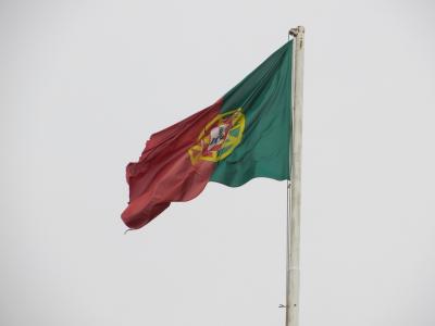 葡萄牙, 国旗, 打击, 红色, 绿色