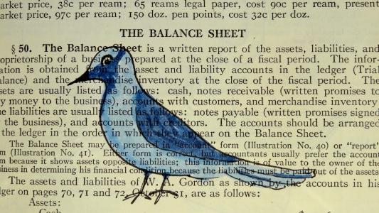 鸟, 书, 设计, 纸张, 年份, 动物, 页面