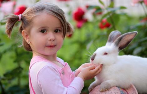 女孩, 兔子, 友谊, 爱, 用品, 兔-动物, 儿童