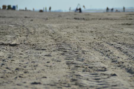 跟踪, 转载, 成熟的, 沙子, 海滩, 海, 自然