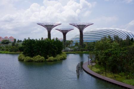 新加坡, 花园, 公园, 亚洲, 自然, 植物, 园艺