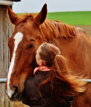 马, 接吻, 对动物的爱, 找到家的感觉, 女孩, 女人, 可爱