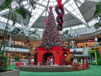 圣诞树, 购物中心, 假日, 装饰, 圣诞节, 树, 文化