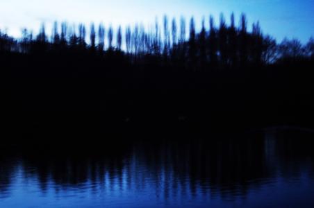 晚上, 池塘, 树木, 景观, 聚焦, 湖, 反思