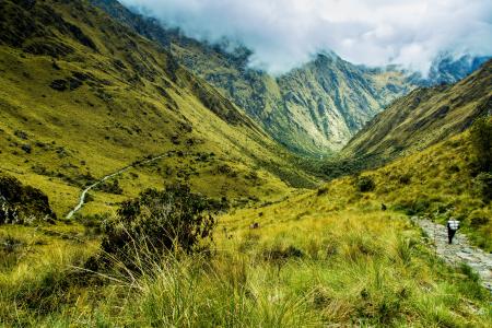 秘鲁, 在脚上, 山, 草绿色, 景观, 徒步旅行, 绿色