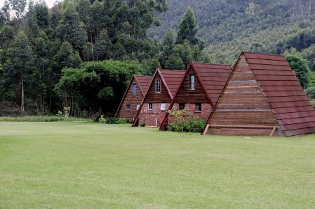 房子, 木材, 南非, 景观