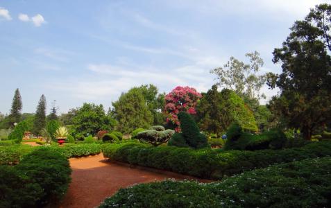 植物园, 拉尔格罗尔巴格, 公园, 花园, 绿色植物, 班加罗尔, 印度