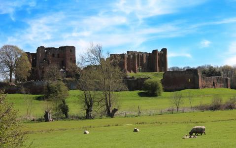 城堡, 凯尼尔沃思, 凯尼尔沃思城堡, 老, 中世纪, 英格兰, 沃里克郡