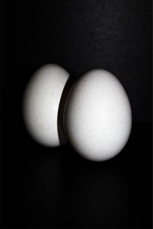 鸡蛋, 鸡蛋, 母鸡的蛋, 食品, 椭圆形, 蛋壳, 营养