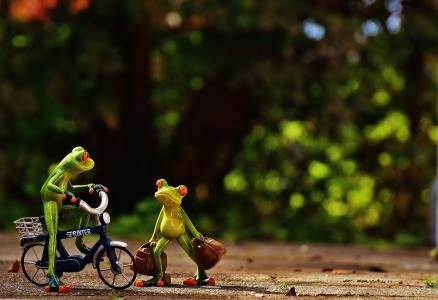 青蛙, 到达, 自行车, 手提袋, 旅行, 可爱, 青蛙