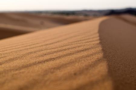 沙漠, 沙丘, 焦点, 景观, 沙子