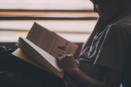 男孩, 衬衫, 阅读, 书, 坐, 儿童, 一个人