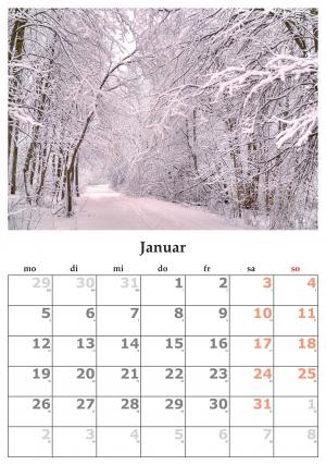 日历, 个月, 1 月, 2015年1月