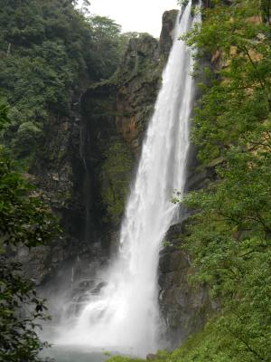 斯里兰卡, 瀑布, laxapana, 自然, 热带, 旅行, 旅游