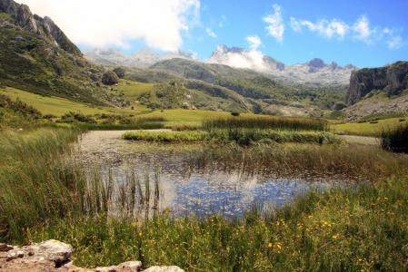 湖, 景观, 绿色, 西班牙, 阿斯图利亚斯, 山脉, 差距