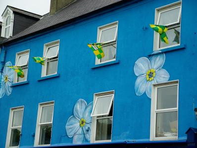 房子, 爱尔兰, 维, 立面, 粉刷的房子