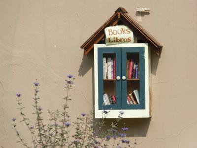 书籍, 阅读, 图书馆, 小图书馆, 窗口, 房子, 立面