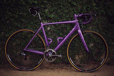 紫色, 固定, 齿轮, 自行车, 站, 旁边, 绿色