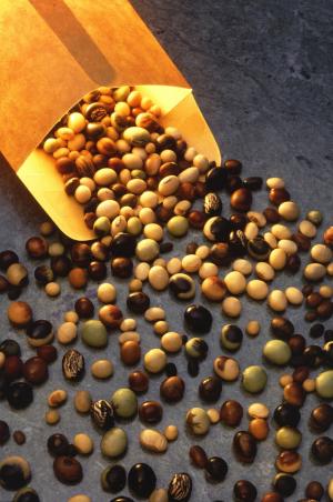 大豆, 彩色, 多, 种子, 植物, 植物区系