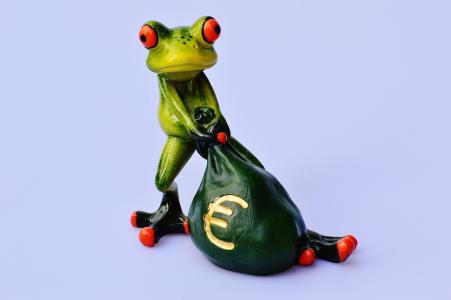 青蛙, 钱, 欧元, 袋, 钱袋子, 有趣, 可爱