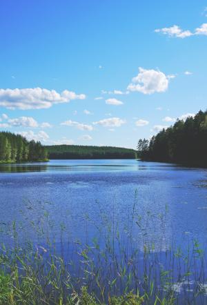 湖, 景观, 自然, 水, 水域, 芬兰, 休息